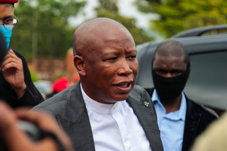 Malema and Ndlozi’s assault trial postponed to March 2021