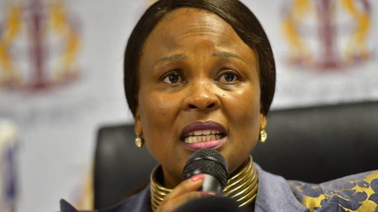 AfriForum: Public Protector unfit for position; should resign