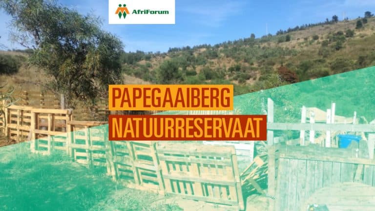 Papegaaiberg Natuurreservaat