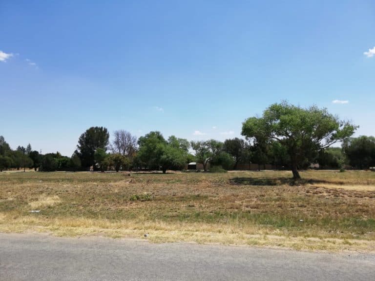 #OnsDorp-veldtog: AfriForum se Delareyville-tak maak park skoon