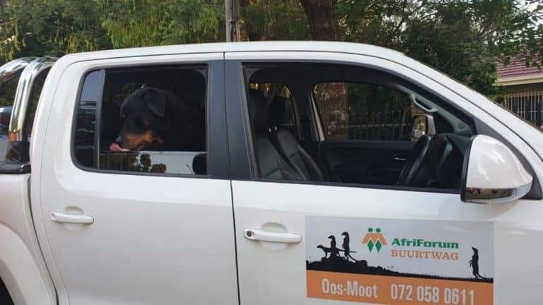 AfriForum Oos-Moot-tak tree vinnig op en vang betreder