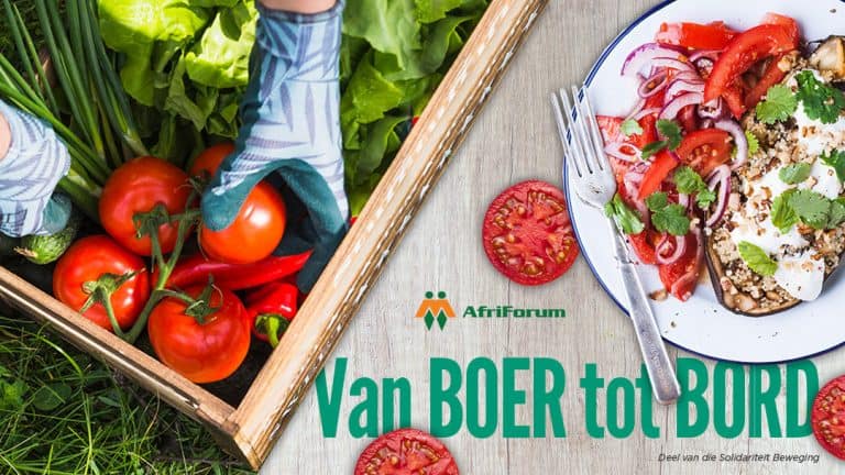 Van BOER tot BORD