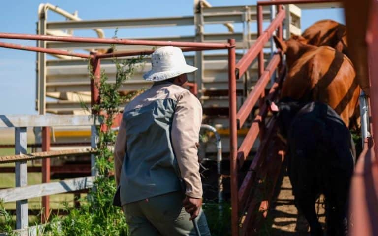 NÓG MANNA NODIG SODAT MANNA VIR DIE BOERE MEDEBOERE KAN HELP