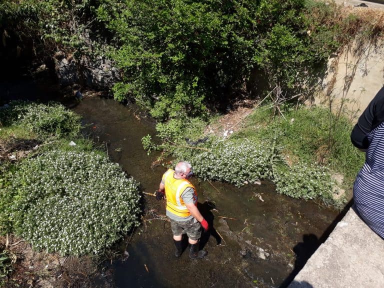 AfriForum se Edenvale-tak woeker met skoonmaakaksie by brug