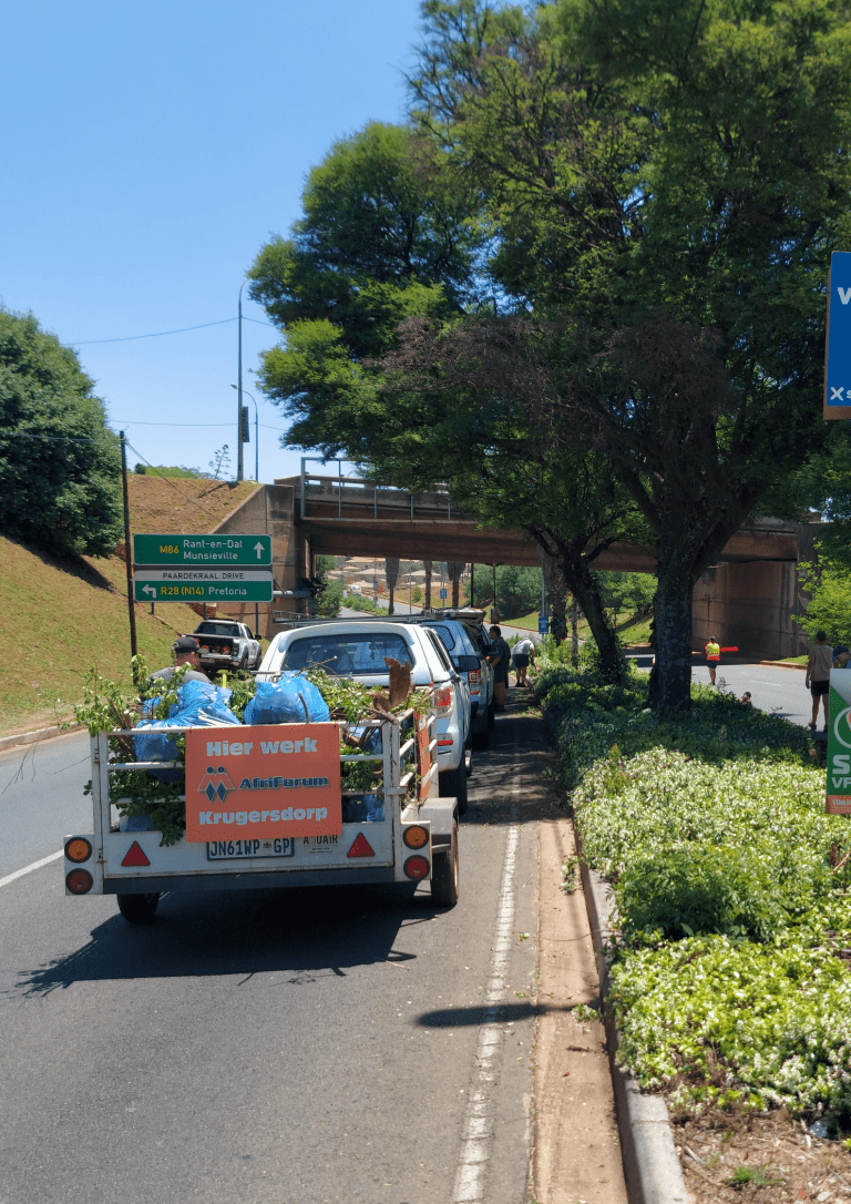 AfriForum se Krugersdorp-tak maak strate skoon