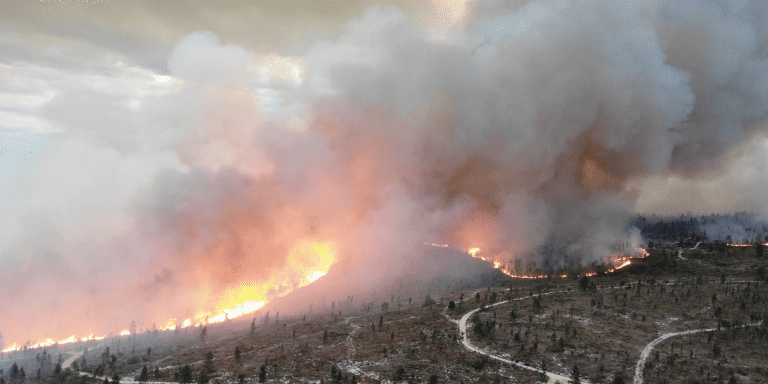 Kleinmond-brande: AfriForum-tak skenk bottels water en ander benodigdhede aan brandweer