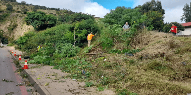 AfriForum se Wes-Moot-tak help tydens skoonmaakprojek in Claremont