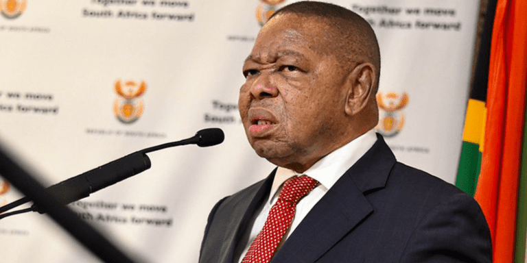 AfriForum says language communities are tired of language gymnastics like that of Nzimande