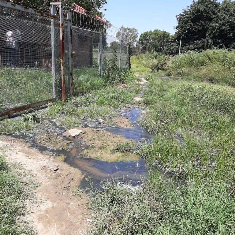 Kroonstad-tak rig dringende skrywe aan munisipaliteit oor rioolprobleme