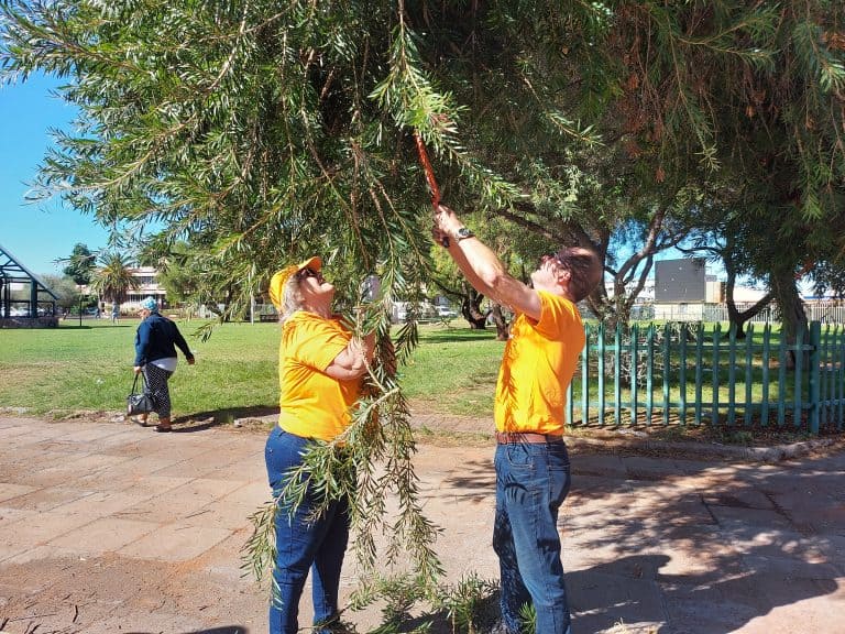 AfriForum se Upington-tak maak skoon voor munisipale kantoor