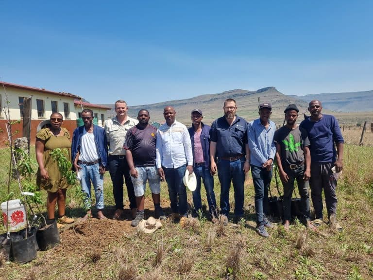 Establishment of smart agrihood boosted with tree planting at school