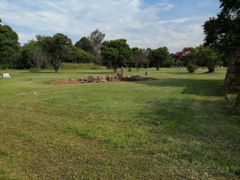 Potchefstroom-tak sny gras by Alexander Park