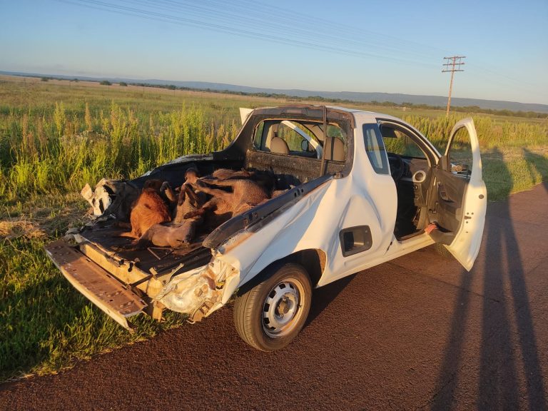 AfriForum se Naboomspruit-buurtwag trek vyf stropers vas