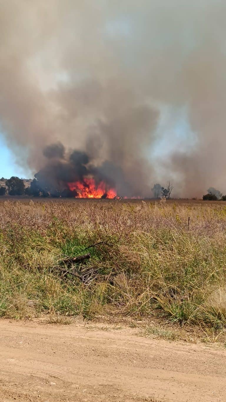 AfriForum waarsku teen hoë brandgevaartoestande; deel veiligheidswenke vir veldbrande