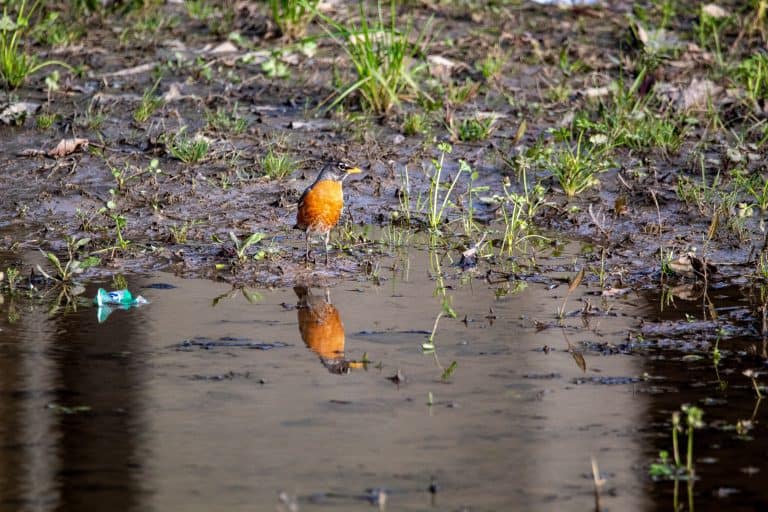 Hartbeespoort-tak rig aanmaningsbrief aan Madibeng Plaaslike Munisipaliteit