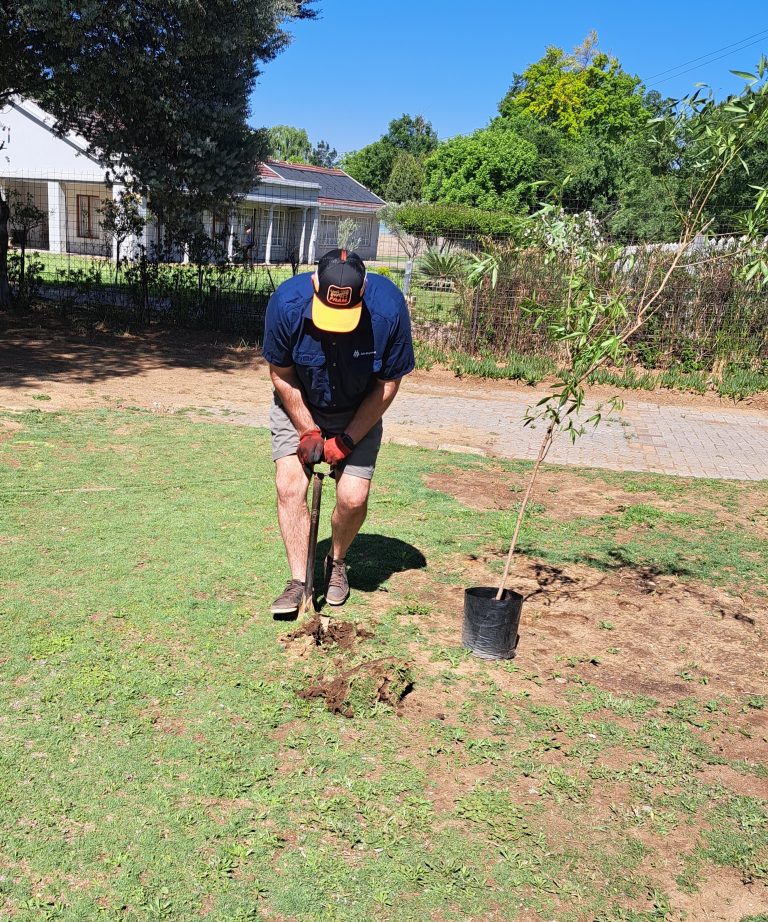 AfriForum-tak plant bome vir ’n nóg groener Vereeniging