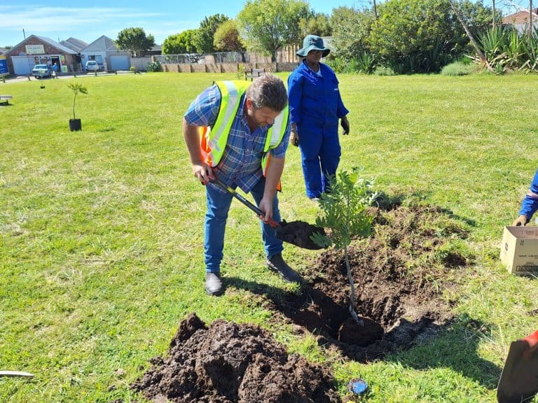 AfriForum se Port Elizabeth-tak help om bome te plant