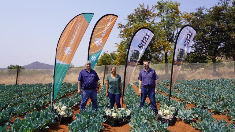 Joint vegetable project produces first crop