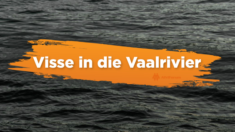 Visse in die Vaalrivier