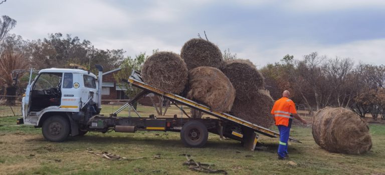 AfriForum en Winburgse landbou-unie span kragte saam: Verlig nood ná verwoestende brande