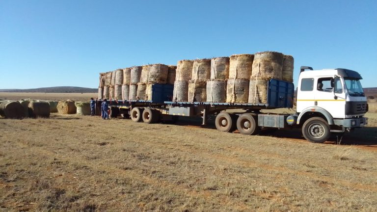 AfriForum help boere met voer en traumaberading ná erge brande