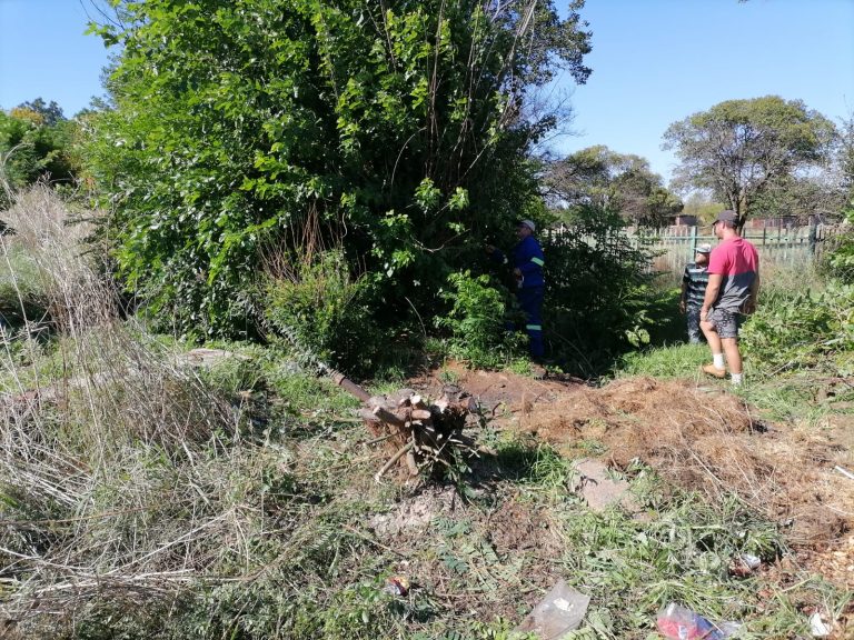 Potchefstroom-tak span groen vingers in vir groener én veiliger dorp