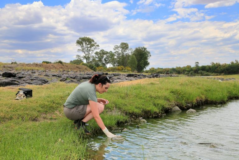 Northern Cape water crisis: Dangerous blue-green algae in the Vaal River and Kimberley still without water