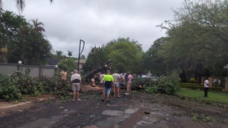 Driekuns vir Phalaborwa-tak wat oor langnaweek teruggee aan dorp