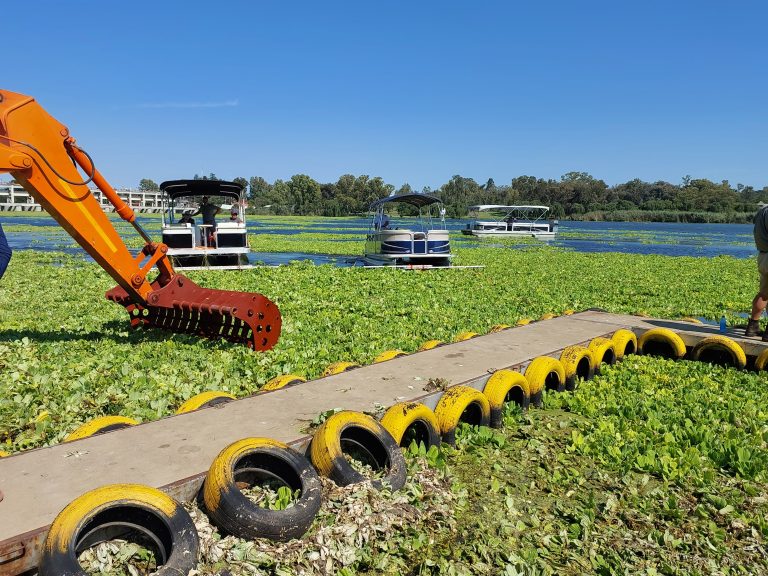 Community again does government’s work and removes 1 623 tonnes of water lettuce from Vaal River themselves