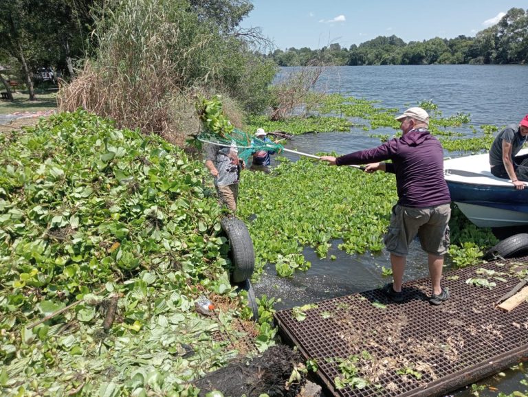 AfriForum en gemeenskap verwyder 1 623 ton waterslaai uit Vaalrivier