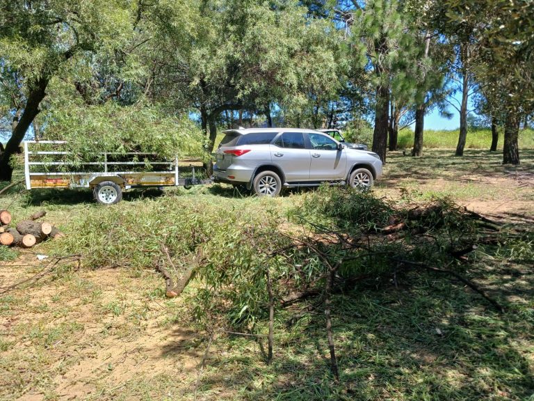 AfriForum se Sasolburg-tak is grassny se baas