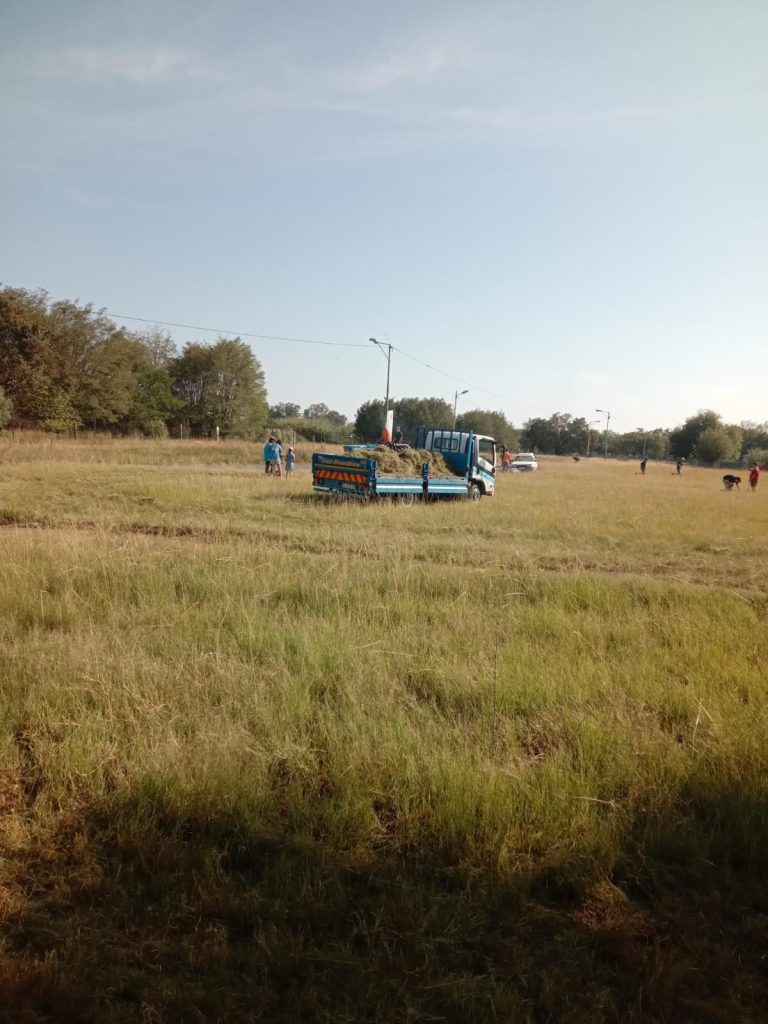 Springs branch cuts about two hectares of grass in February