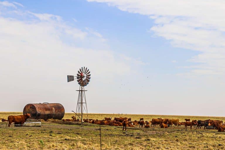 Wat doen AfriForum vir boere?