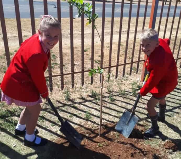 Boomplantmaand: AfriForum se Klerksdorp-tak dra by tot ’n groener toekoms