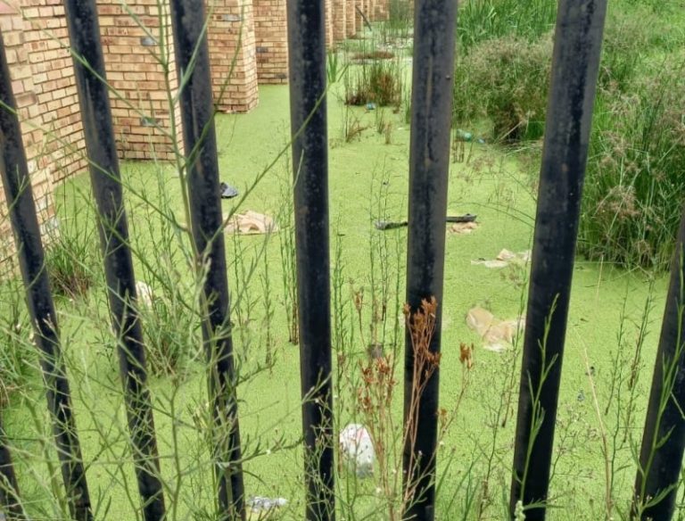 AFRIFORUM SE POTCHEFSTROOM-TAK KRY NIE ANTWOORDE OOR BESOEDELINGSPROBLEEM NIE