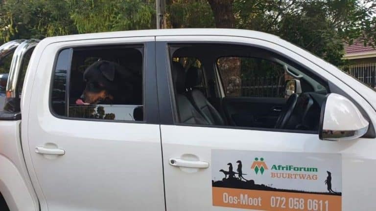 AfriForum Oos-Moot-tak tree vinnig op en vang betreder