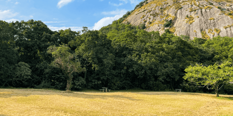 AfriForum se Nelspruit-tak maak natuurreservaat skoon