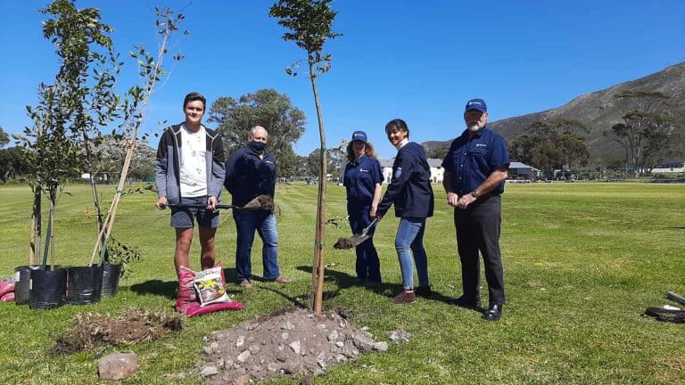 AfriForum se Overstrand-tak vier boomplantmaand