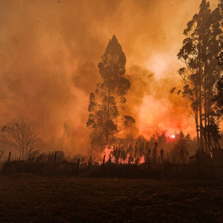 AfriForum maan munisipaliteite aan om veldbrandvoorkoming ’n prioriteit te maak