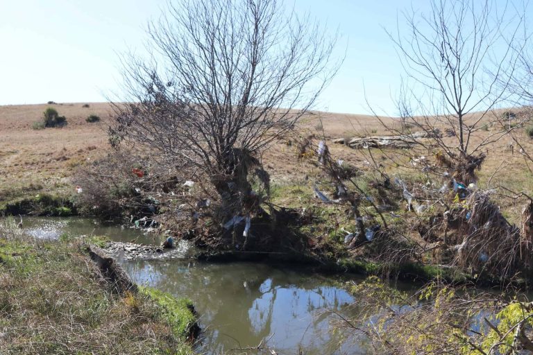 Heilbron-tak maan Ngwathe-munisipaliteit oor besoedelde Elandspruit