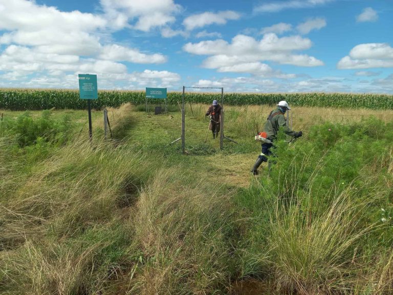 Standerton-tak maak Voetsporemonument netjies