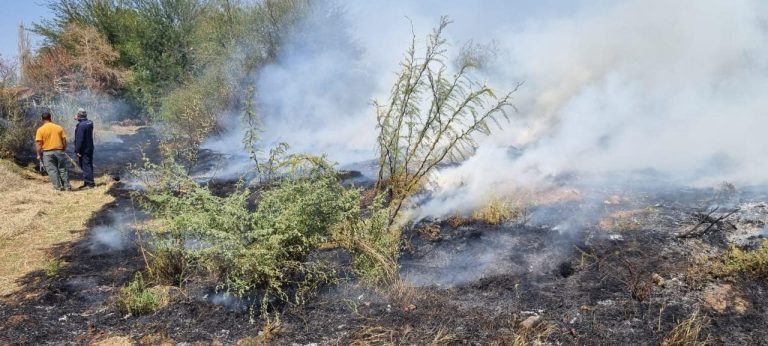 Keimoes-tak help om groot brand te blus