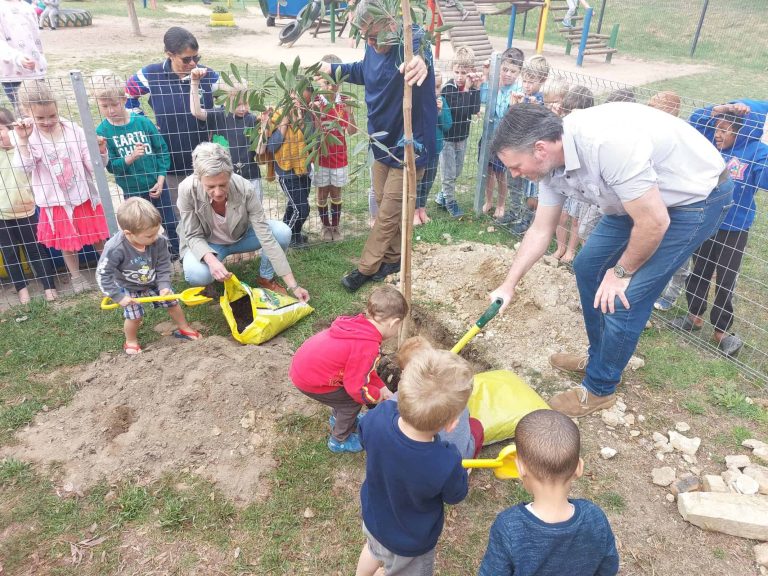 Paarl-tak plant bome by Laerskool Noord-Eind