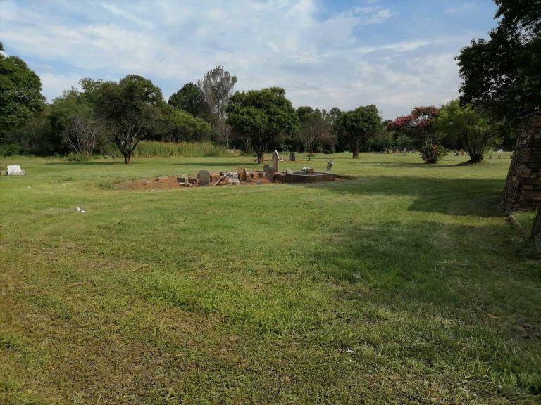 Potchefstroom-tak sny gras by Alexander Park