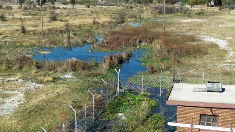 Bloemhof-tak plaas Lekwa-Teemane Plaaslike Munisipaliteit op terme