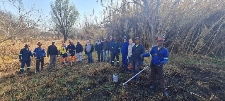 Potchefstroom-tak neem dorp onder hande