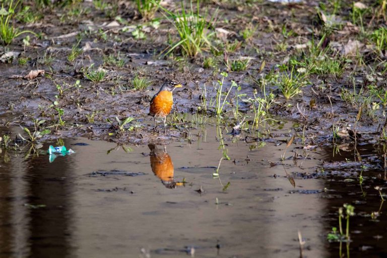 Hartbeespoort-tak rig aanmaningsbrief aan Madibeng Plaaslike Munisipaliteit