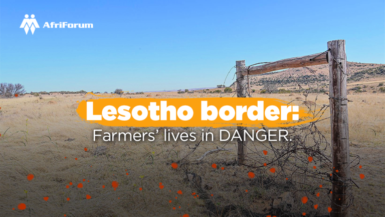 Lesotho border: Farmers’ lives in DANGER.