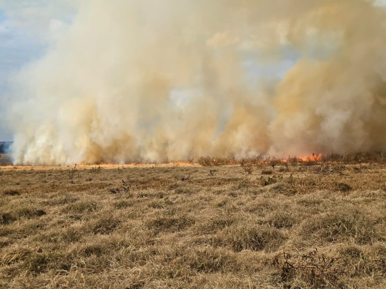 AfriForum warns against extremely high fire danger conditions; can result in damage and death