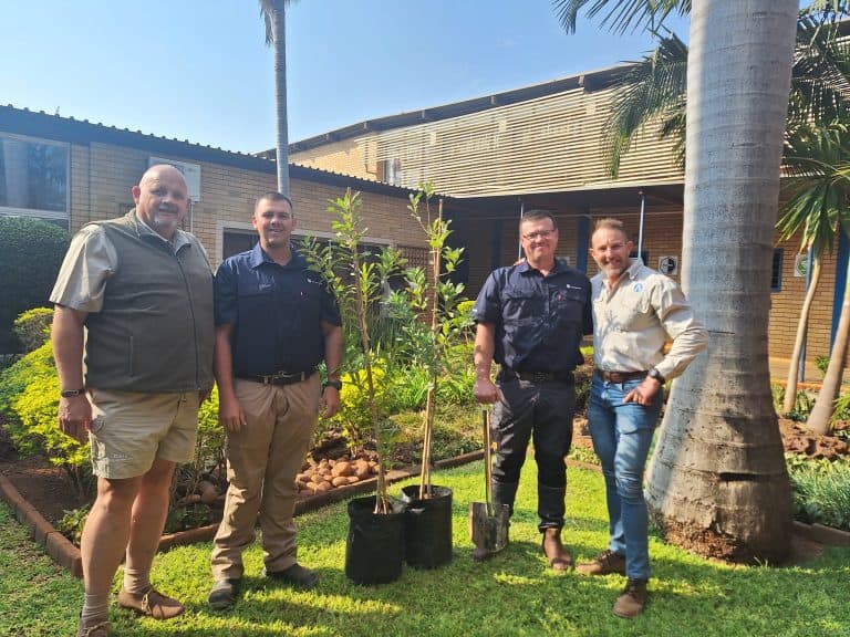 AfriForum se Potgietersrus-tak plant inheemse bome vir ’n groener toekoms 